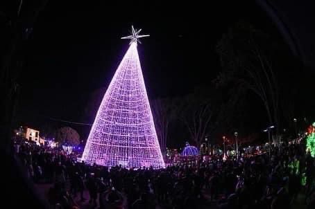 WhatsApp Image 2021 12 08 at 1.00.14 PM