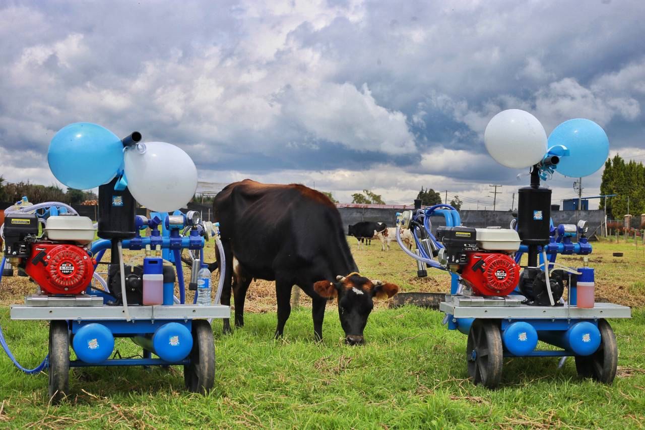 WhatsApp Image 2022 07 25 at 3.28.08 PM